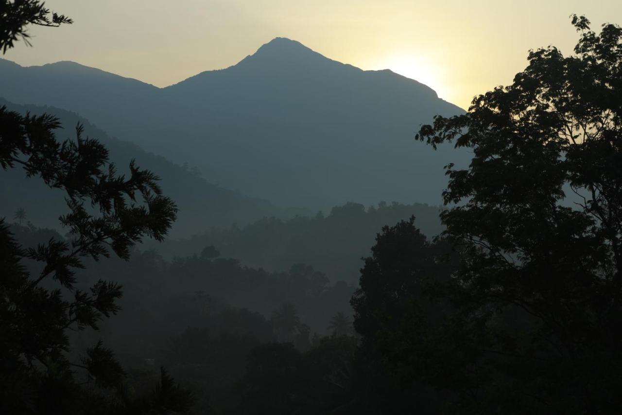 Broad Bean Resort & Spa Munnar Exterior photo
